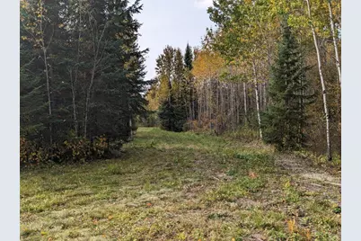 Tbd Deer River Line, Littlefork, MN 56653 - Photo 4