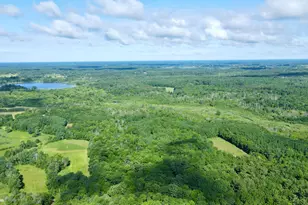 37102 Grandy Pines Rd NE, Stanchfield, MN 55080 - Photo 1