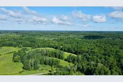 37102 Grandy Pines Road NE, Stanchfield, MN 55080 - Photo 2