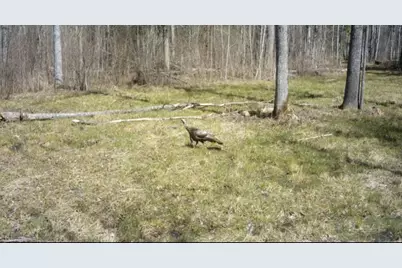 11840 Rice Haven Road, Floodwood, MN 55736 - Photo 26