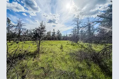 0 County Road Y, Gordon, WI 54838 - Photo 10