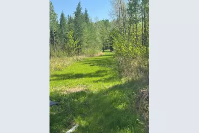 Tbd242.25 Lavell Road, Meadowlands, MN 55765 - Photo 32