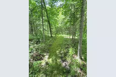 24353 Hines Road NE, Hines, MN 56647 - Photo 4