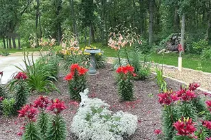 21641 Duck Lake Dr, Menahga, MN 56464 - Photo 50