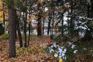 4826 Lazy Pine Rd, Moose Lake, MN 55767 - Photo 46