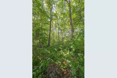 Tbd. Kestrel Trail NW, Hackensack, MN 56452 - Photo 10