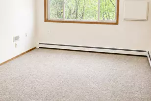6717 Old Sawmill Rd, Harris, MN 55032 - Photo 2