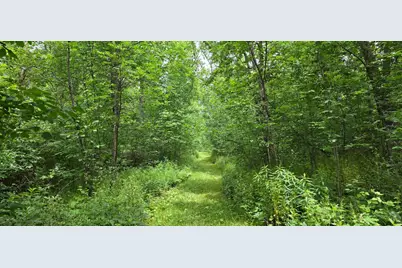 Tbd Cardinal Lane, Mabel, MN 55954 - Photo 14