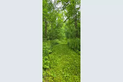 Tbd Cardinal Lane, Mabel, MN 55954 - Photo 4