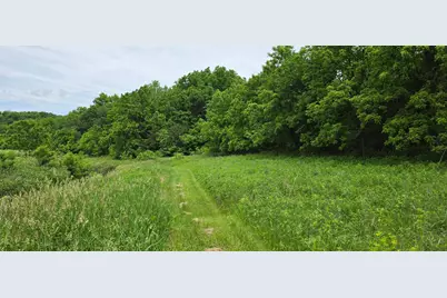 Tbd Cardinal Lane, Mabel, MN 55954 - Photo 6