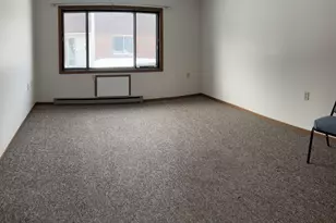 109 4th Ave N, Parkers Prairie, MN 56361 - Photo 4