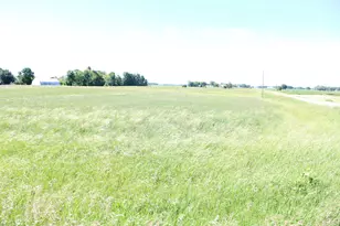Tbd 225th St, Silver Lake, MN 55381 - Photo 1