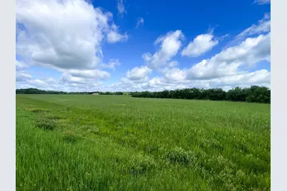 Tbd Mud Lake Road, Bagley, MN 56621 - Photo 16