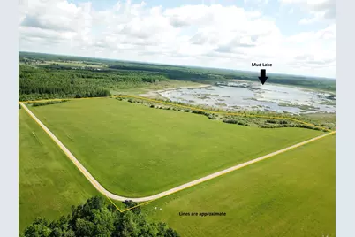Tbd Mud Lake Road, Bagley, MN 56621 - Photo 1