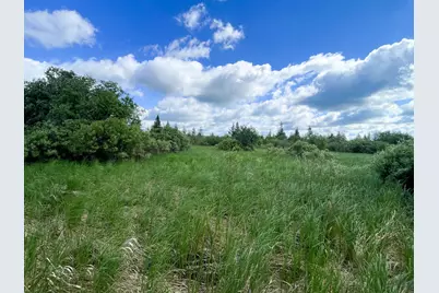 Tbd Mud Lake Road, Bagley, MN 56621 - Photo 18