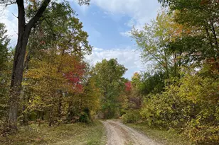 34437 County 18, Cushing, MN 56443 - Photo 18
