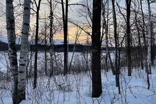 34437 County 18, Cushing, MN 56443 - Photo 20