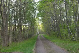 34437 County 18, Cushing, MN 56443 - Photo 16