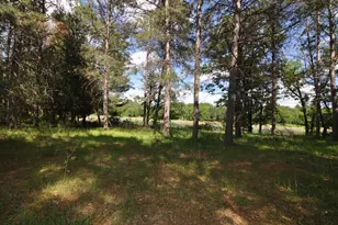 1879 State 87 NW, Backus, MN 56435 - Photo 2