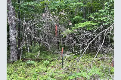 Lot 15 Loon Lake Road, Danbury, WI 54830 - Photo 14
