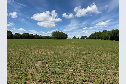 Tbd Co Rd 14, Browerville, MN 56438 - Photo 40