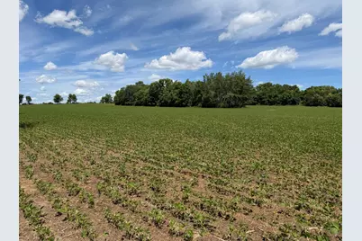 Tbd Co Rd 14, Browerville, MN 56438 - Photo 42