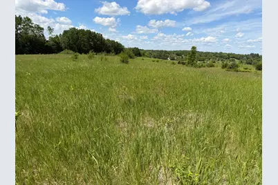 Tbd Co Rd 14, Browerville, MN 56438 - Photo 46