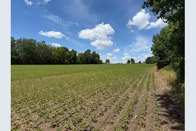 Tbd Co Rd 14, Browerville, MN 56438 - Photo 38