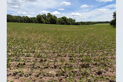 Tbd Co Rd 14, Browerville, MN 56438 - Photo 44