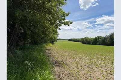 Tbd Co Rd 14, Browerville, MN 56438 - Photo 32