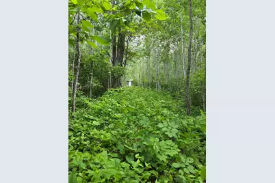 Xxx Mt Nelson Rd, Mahtowa, MN 55707 - Photo 1