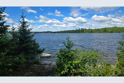 Tbd Longsberry Island, Orr, MN 55771 - Photo 46