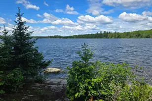 Tbd Longsberry Island, Orr, MN 55771 - Photo 46