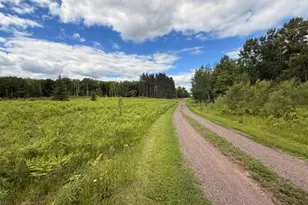1672 Co Rd 146, Holyoke, MN 55749 - Photo 28