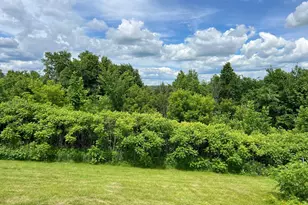 W8972 520th Ave, Ellsworth, WI 54011 - Photo 30
