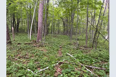 Tbd Crust Road, Brainerd, MN 56401 - Photo 42