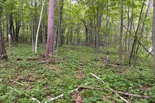 Tbd Crust Rd, Brainerd, MN 56401 - Photo 42