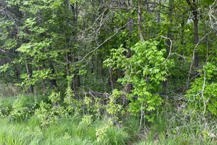 Tbd Crust Rd, Brainerd, MN 56401 - Photo 26