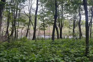 Tbd Crust Rd, Brainerd, MN 56401 - Photo 44