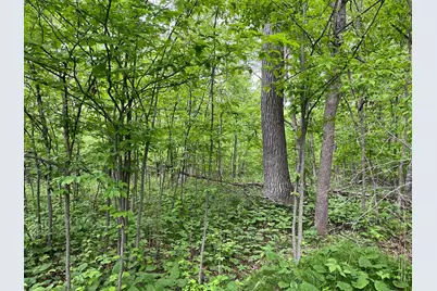 Tbd Crust Road, Brainerd, MN 56401 - Photo 30