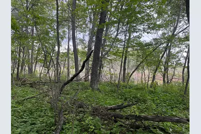 Tbd Crust Road, Brainerd, MN 56401 - Photo 40