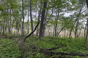 Tbd Crust Rd, Brainerd, MN 56401 - Photo 40