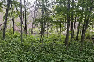 Tbd Crust Rd, Brainerd, MN 56401 - Photo 44