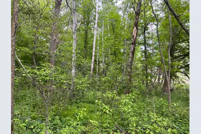 Tbd Crust Road, Brainerd, MN 56401 - Photo 32