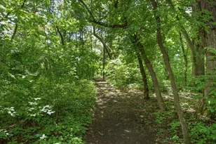 3236 168th Ln NW, Andover, MN 55304 - Photo 46