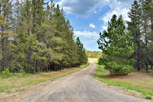 27622 County 119, Nevis, MN 56467 - Photo 50