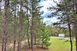 27622 County 119, Nevis, MN 56467 - Photo 48