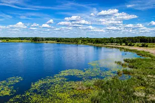 Tbd Co Hwy 1, Battle Lake, MN 56515 - Photo 4