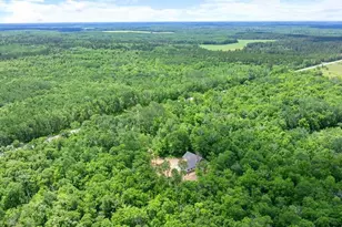 30298 County 33, Akeley, MN 56433 - Photo 36