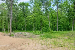 30298 County 33, Akeley, MN 56433 - Photo 32